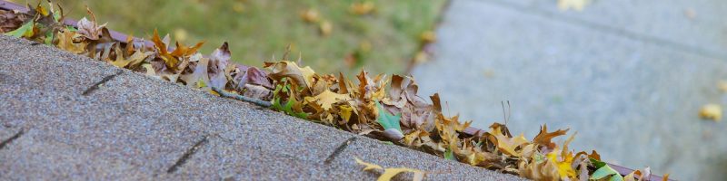 Dirty roof with gutter with leaves requiring cleaning